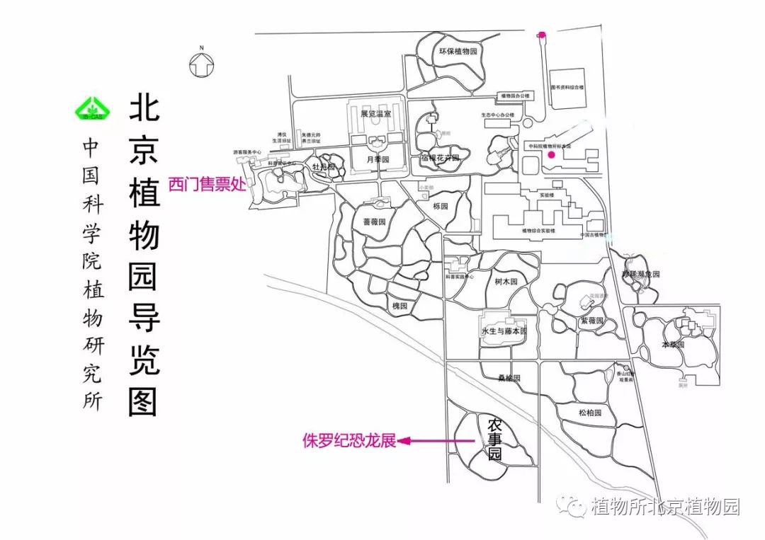 "十一"小长假来植物所北京植物园看恐龙吧!