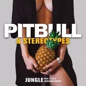 【12月新曲】Jungle — Pitbull / Stereotypes