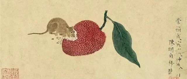 ٱիػʫ赲滭ͣͼƬ