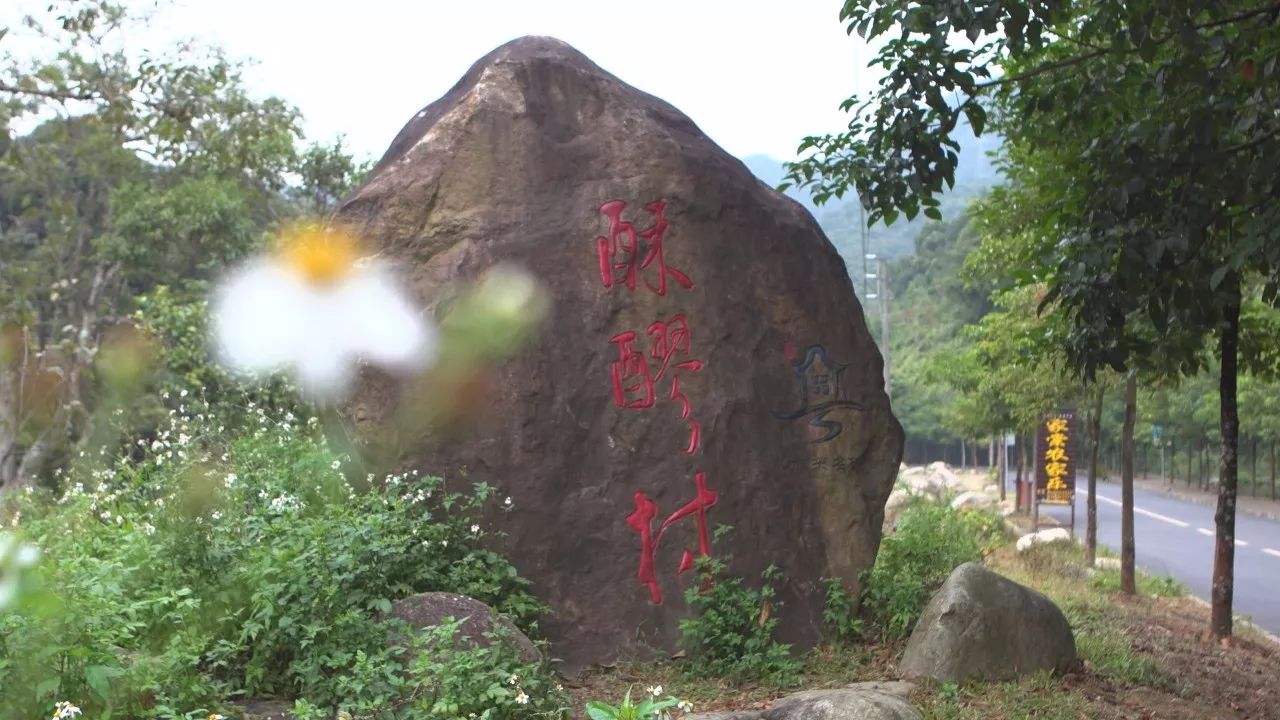 美丽乡村博罗篇之五世外桃源酥醪村