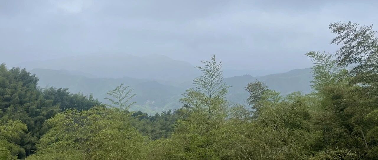 Example Image