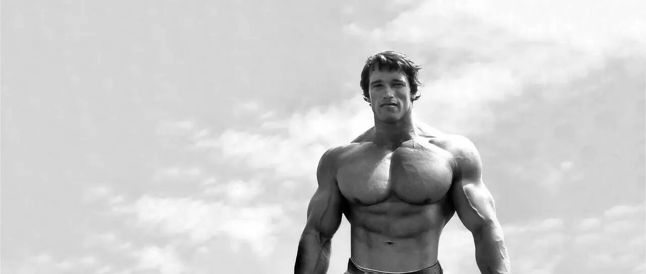 施瓦辛格说了这句话,后来他当了州长