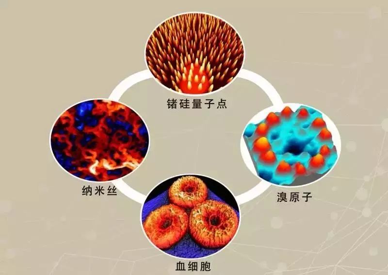 电子显微镜下的微观粒子,血细胞属于宏观存在哦!