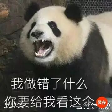 9个动物们sex的冷知识，螺旋状的丁丁算个啥？