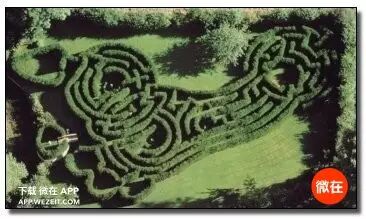 9个动物们sex的冷知识，螺旋状的丁丁算个啥？