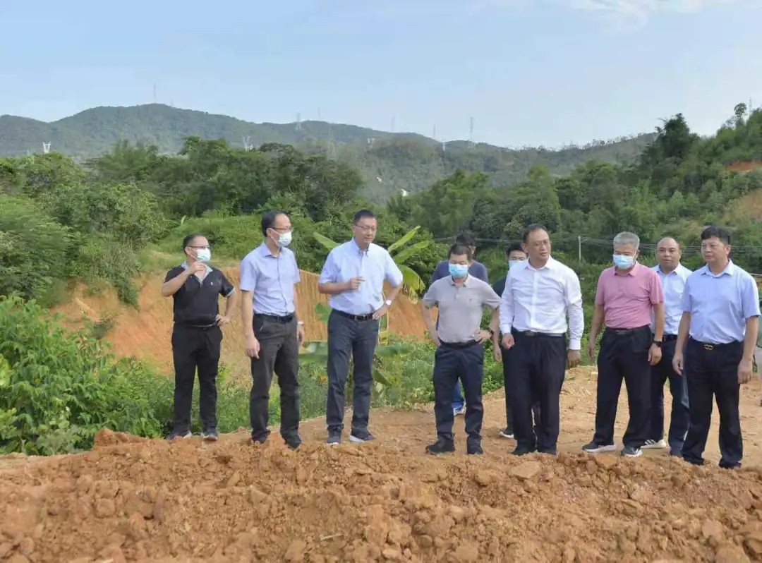 区领导带队督导检查乱占耕地建房问题