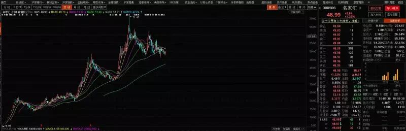 股票册：1月热点个股解析名家汇（300506）