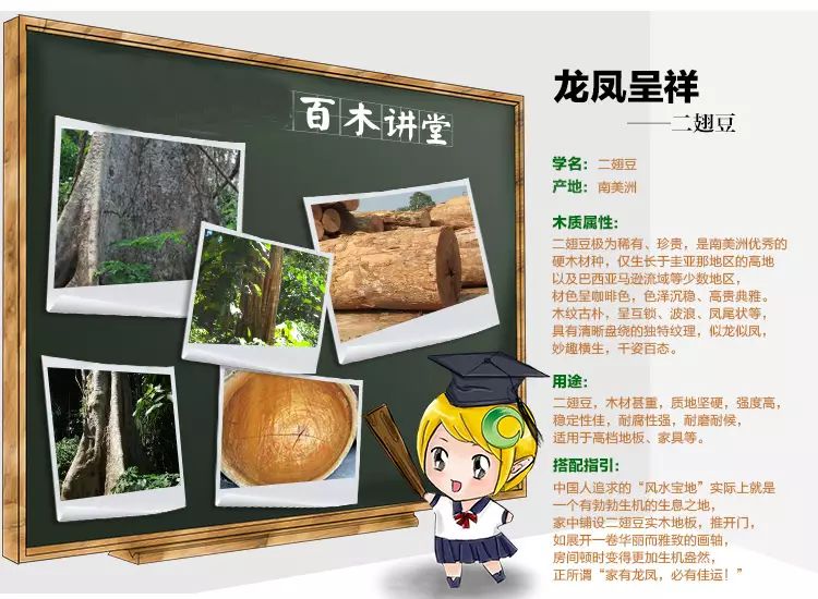 小鞋豆木與賽鞋豆木_良木和豆木哪個(gè)好_二翅豆木地板好嗎
