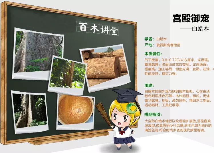 二翅豆木地板好嗎_小鞋豆木與賽鞋豆木_良木和豆木哪個(gè)好