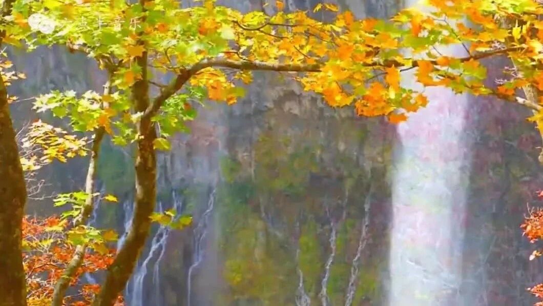 收录于合集⭐初秋问候：愿所念之人，安康顺遂！