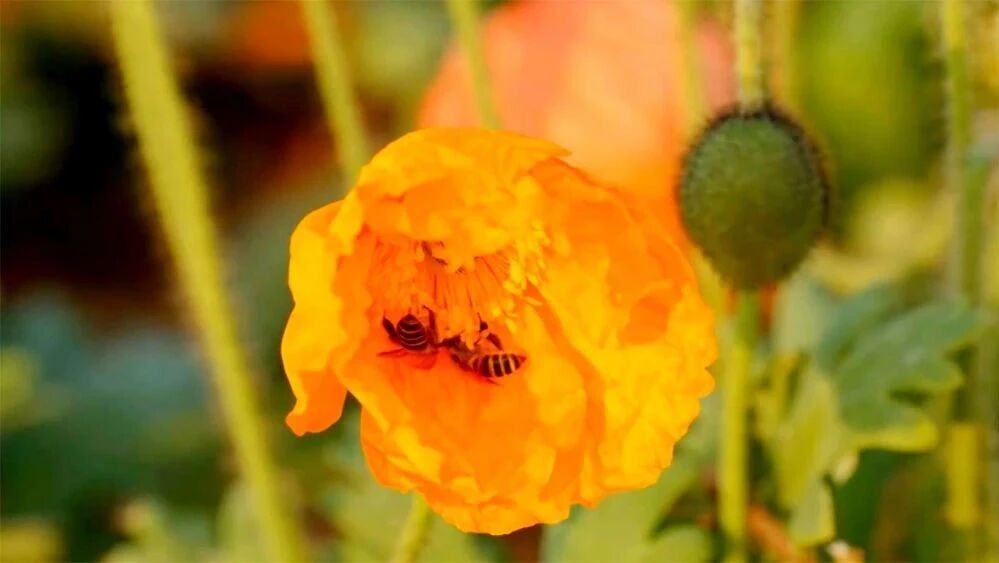 美好周末，音乐相伴，祝您愉快！
