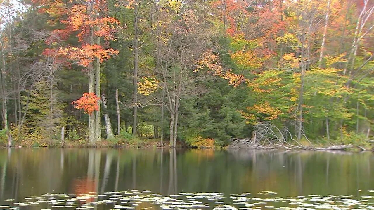 收录于合集⭐年年岁岁秋相似，岁岁年年人不同