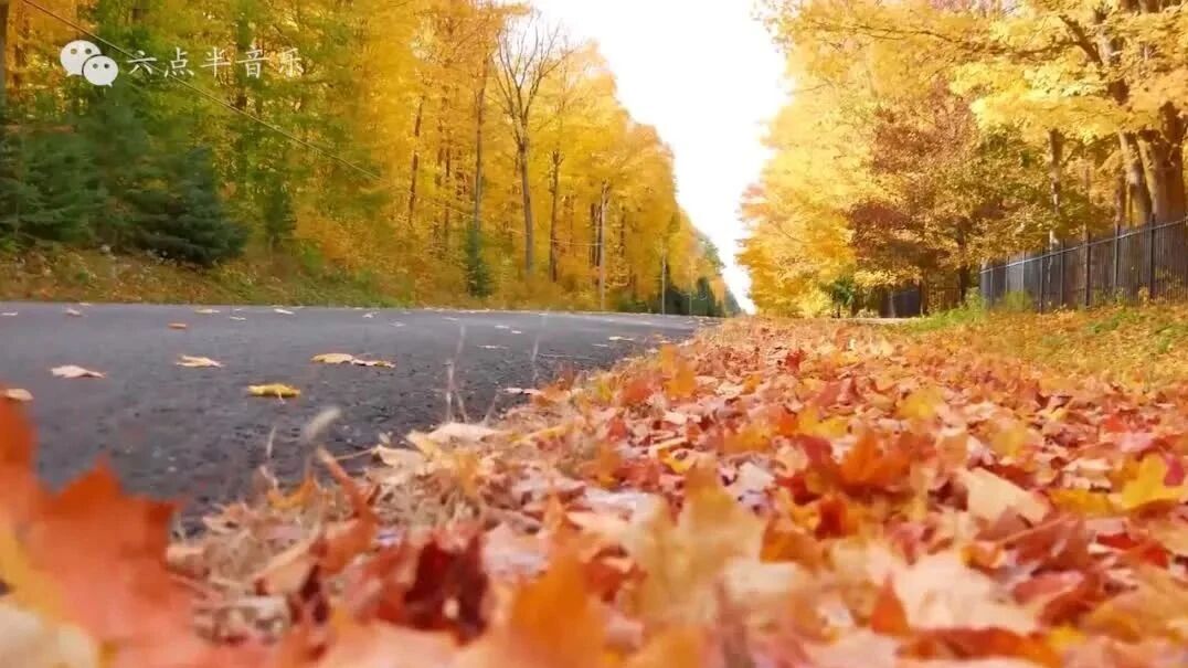 收录于合集⭐用音乐说早安！邂逅初秋，遇见美好