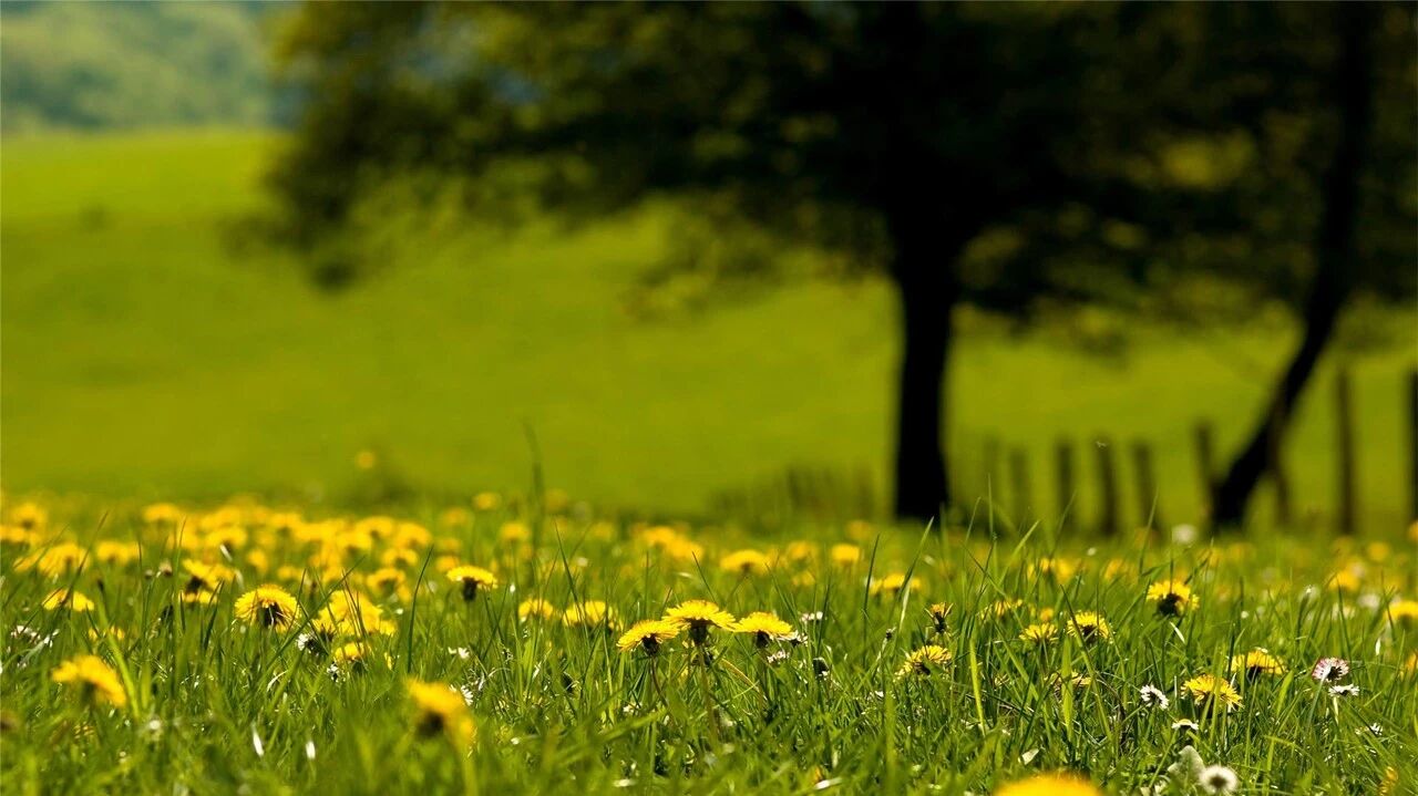 收录于合集⭐七夕节，谢谢你最美的爱~