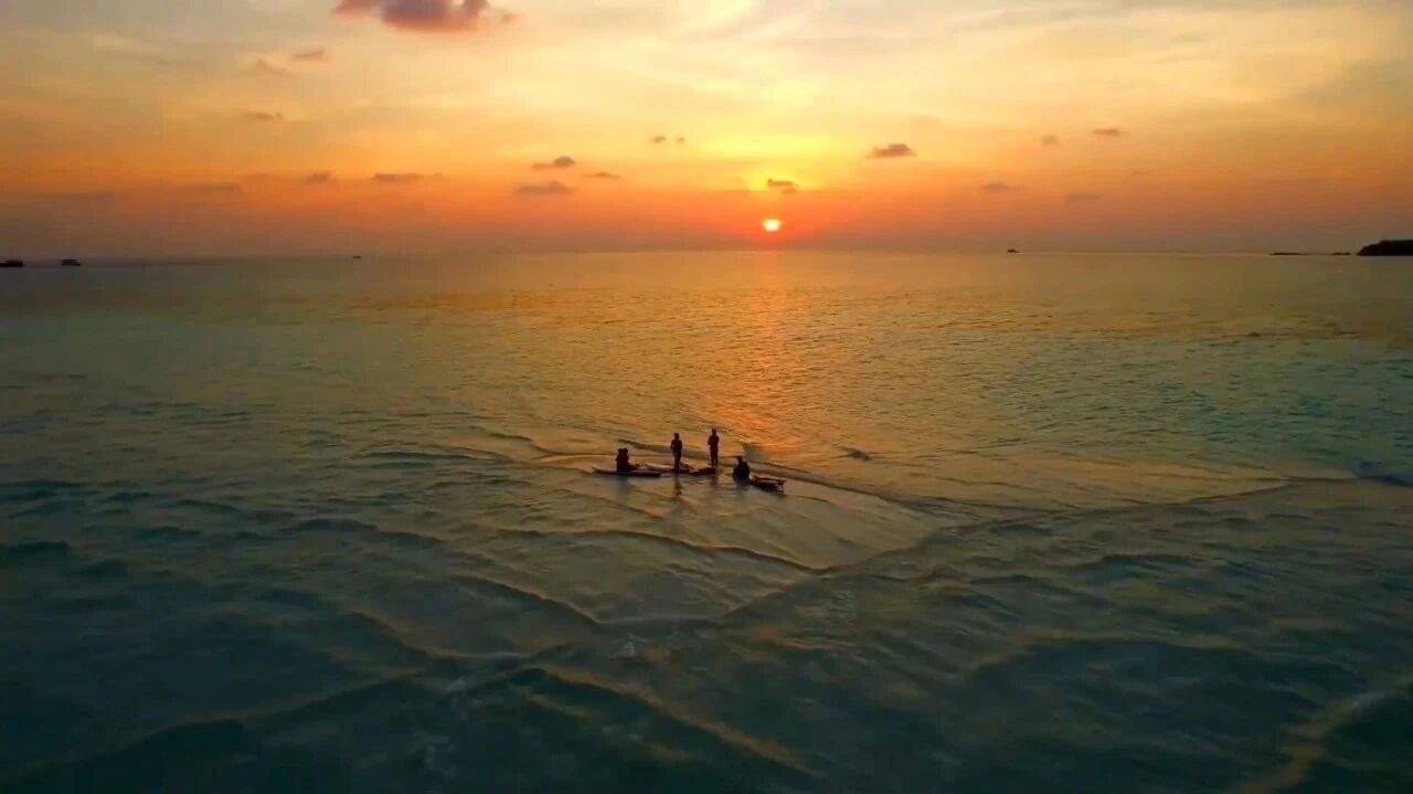 收录于合集⭐清晨，一曲《金色的旋律》送给朋友！