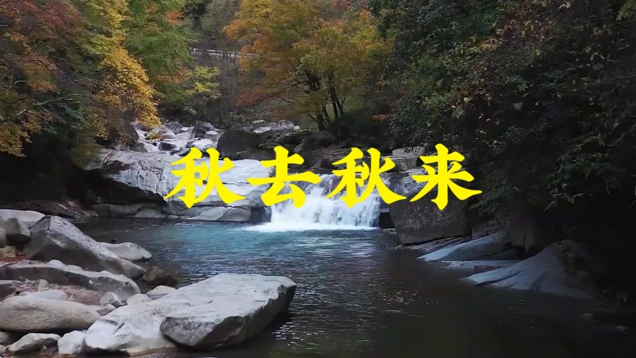收录于合集⭐秋去秋来，惟愿岁月静好