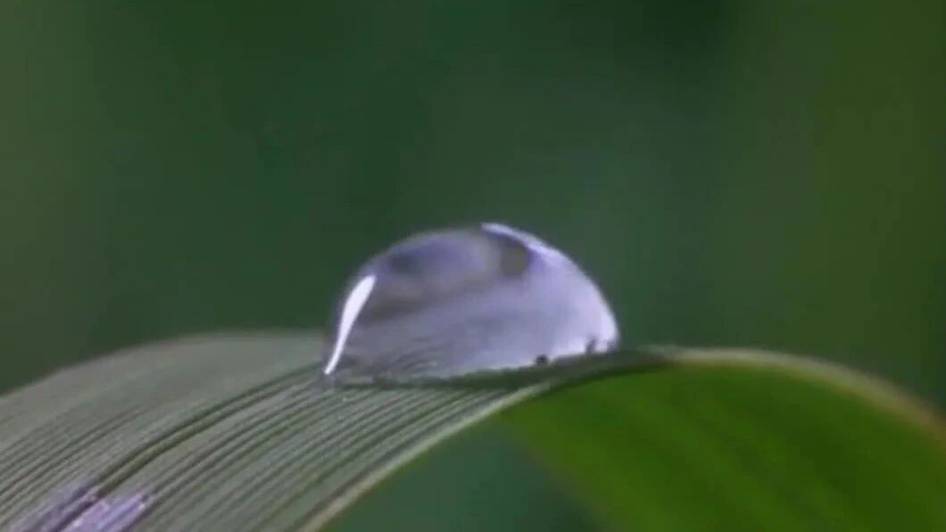 收录于合集⭐处暑快乐，吉祥安康！