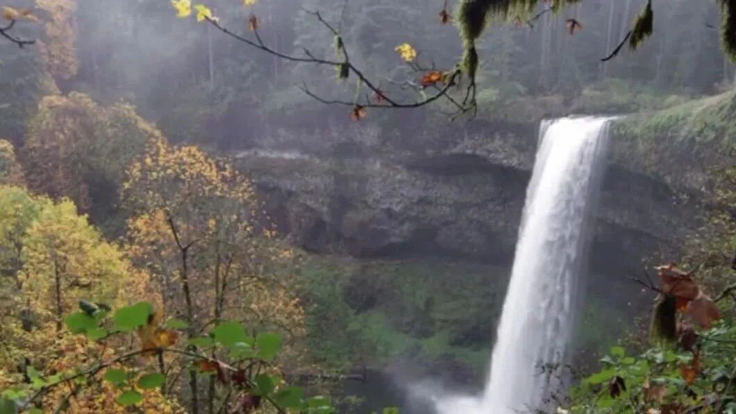 收录于合集⭐秋日养生音乐，听一听，心静人安！