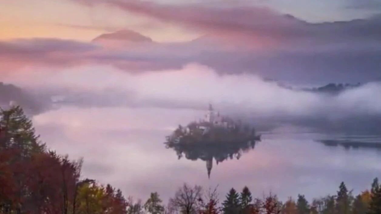 收录于合集⭐美丽的星期三，祝您处暑愉快！