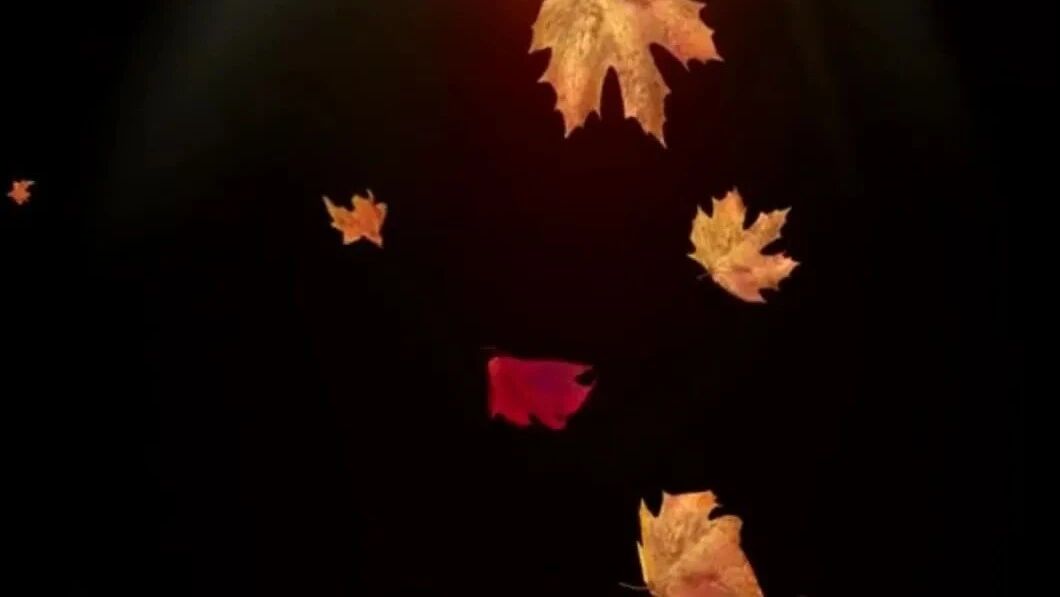 收录于合集⭐浅秋，道一声：朋友，珍重！