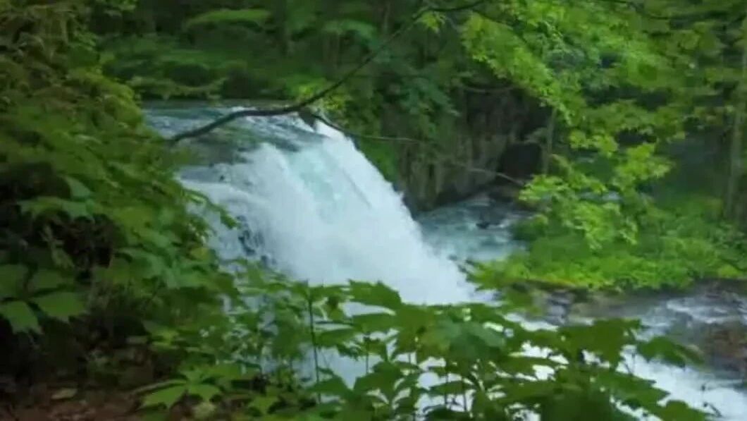 收录于合集⭐一首醉人心弦的小提琴曲