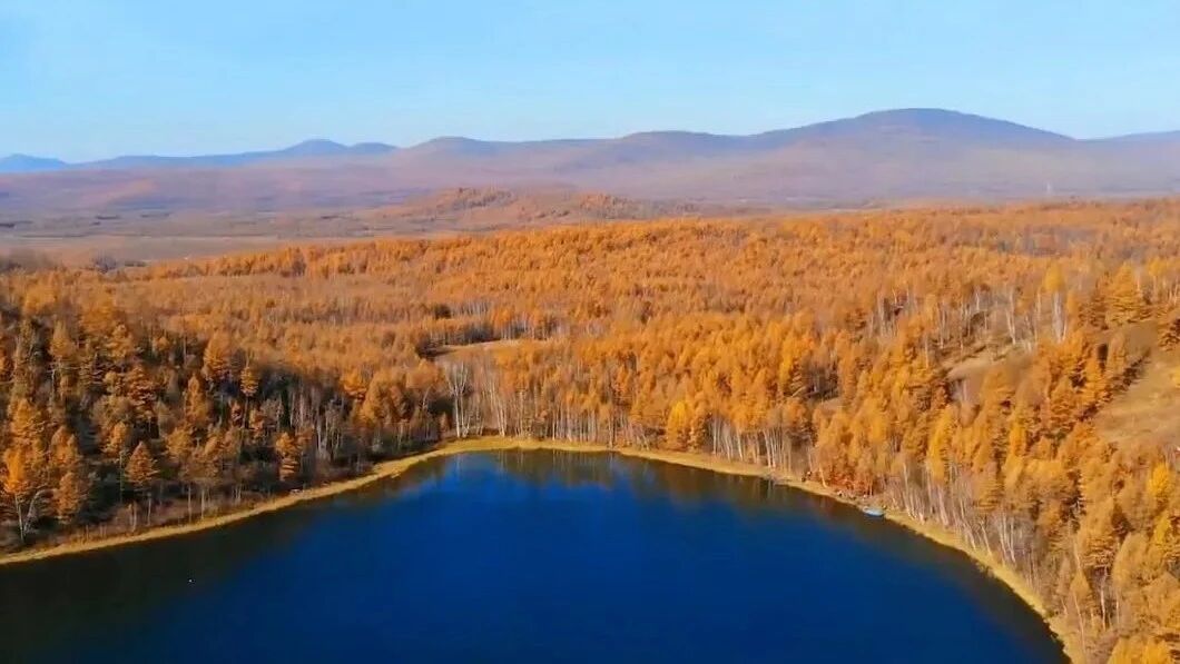 收录于合集⭐一曲《秋野的影子》，祝您秋天好心情！