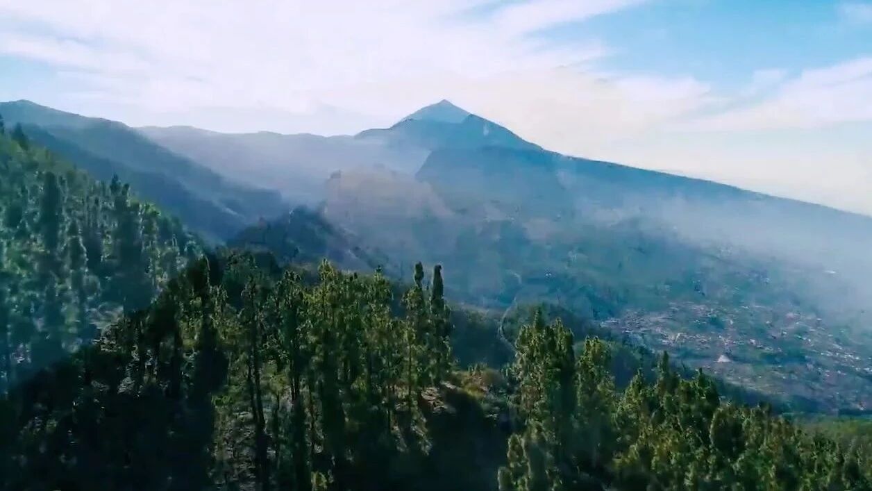 收录于合集⭐美好的一天，从问候开始！（周末愉快）