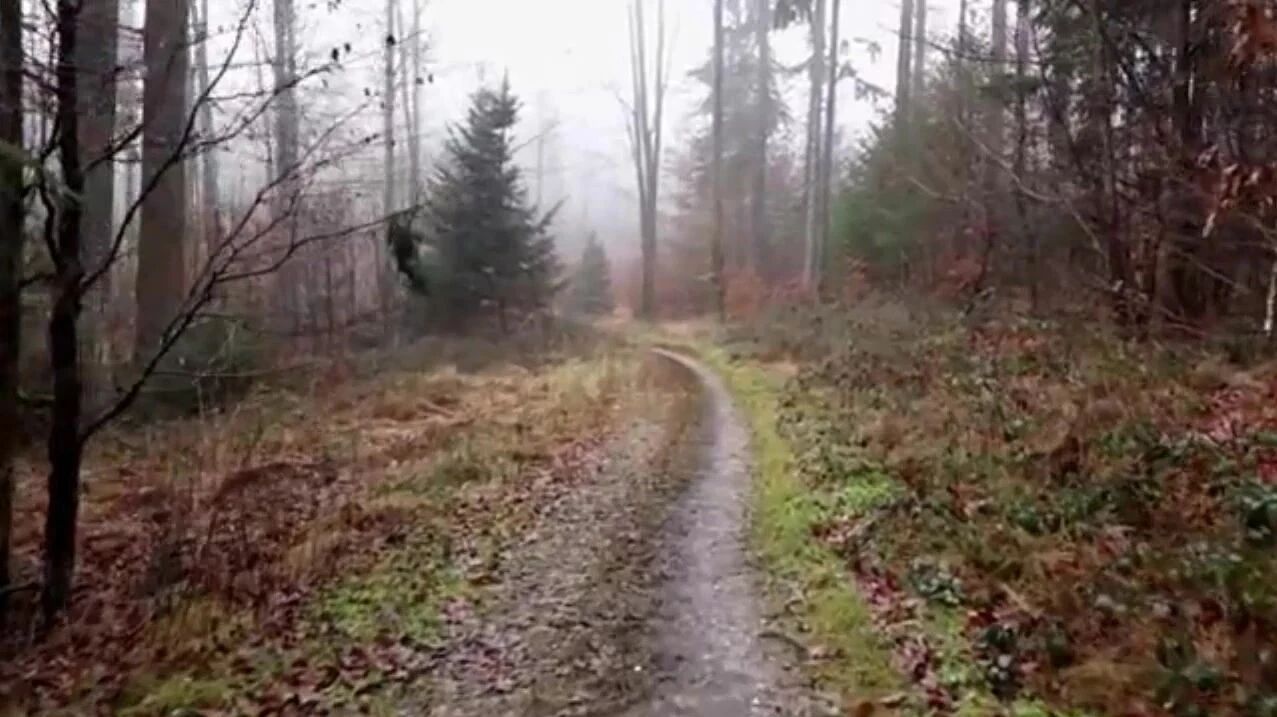 今日处暑：人间处暑秋，愿君多珍重！