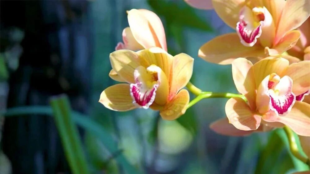 收录于合集⭐美好的星期二，祝您心情愉悦！