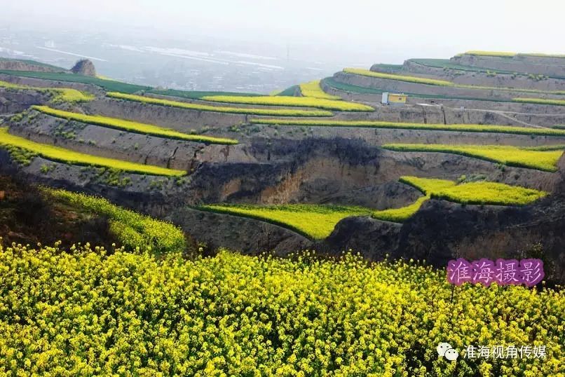 三原徐木唐陵梯田油菜花海,拍摄写真的好地方![淮海]