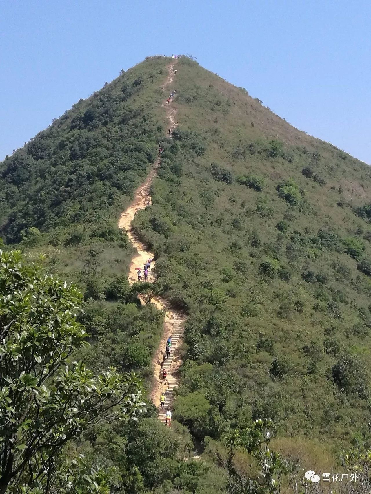 【再见那些风景】连走麦里浩径678段针山草山铅矿坳,大帽山下梧桐寨观