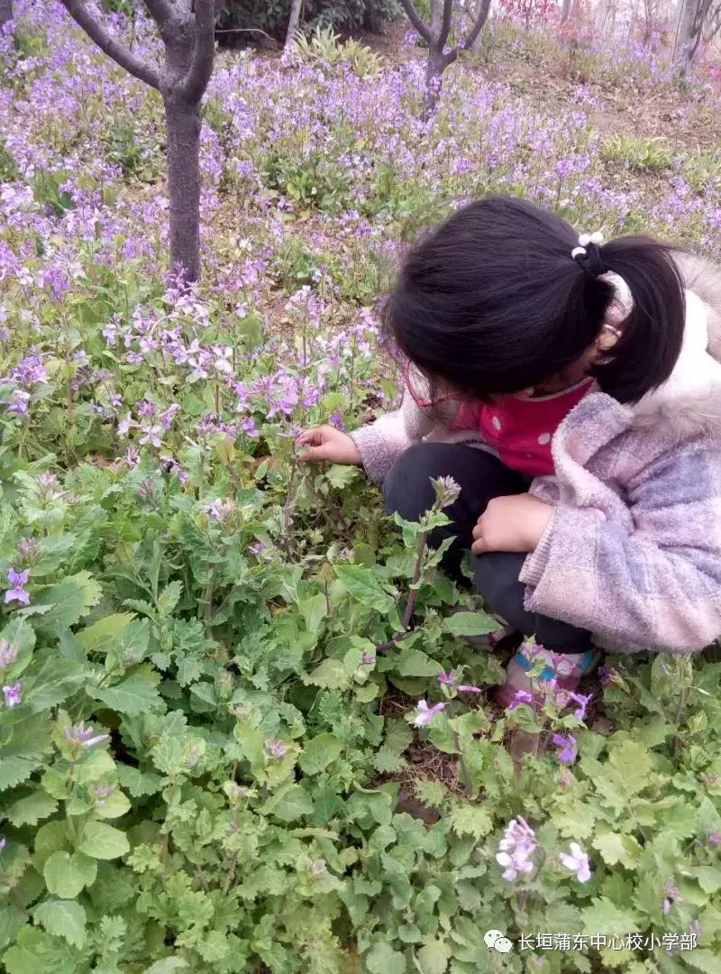 三月大地,草长莺飞.春姑娘来了,春姑娘来了!