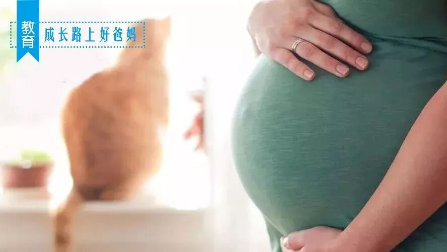 谢娜37、蒋勤勤42,这些拼了老命也要生的高龄产妇到底经历过什么?
