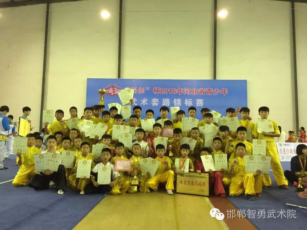 祝贺我院在2016年河北省武术套路锦标赛中取得骄人的成绩。-邯山区少林智勇武术学校
