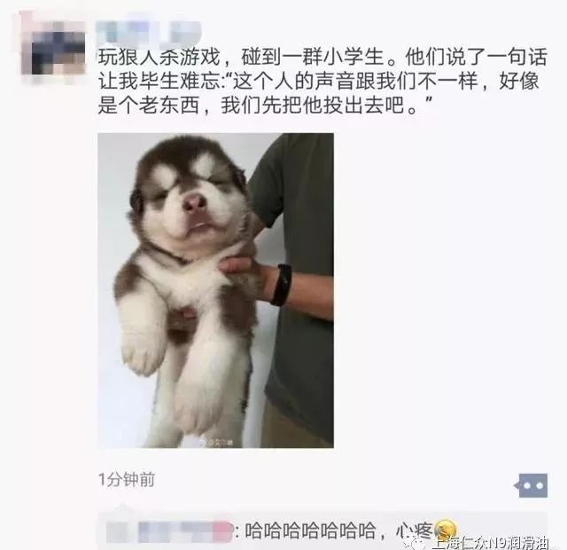 咱们闲得无聊的时候,很多人喜欢看看朋友圈,朋友圈里有爱发自拍的,爱