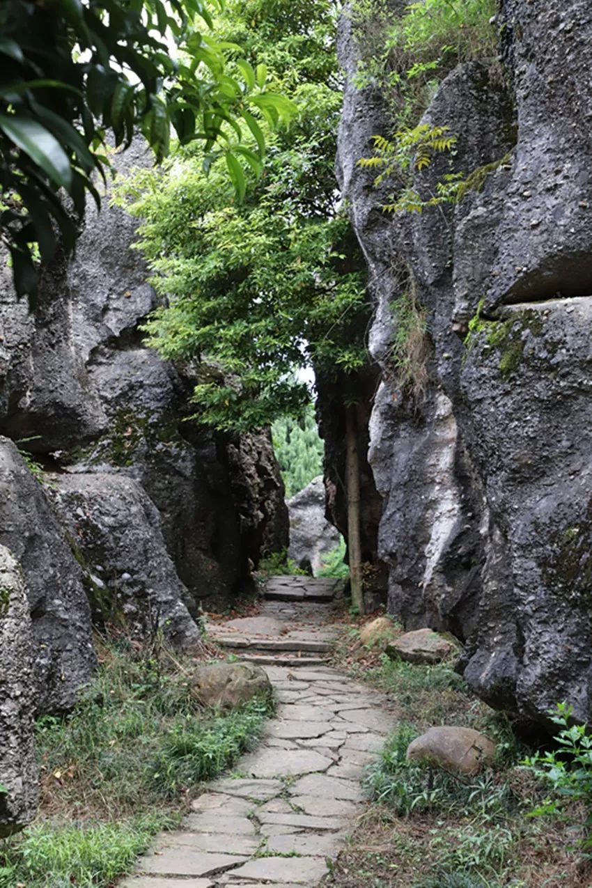 走进寻龙山