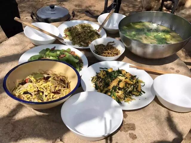 淫羊藿，嚯嚯嚯嚯嚯嚯嚯