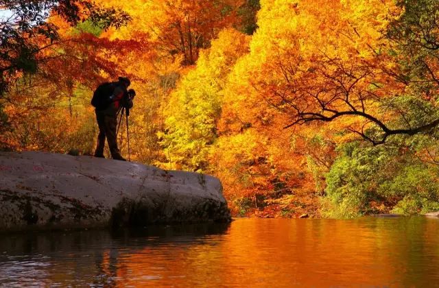 四川最美的15個紅葉區，一到秋天就燃成一片片紅海！ 旅行 第17張