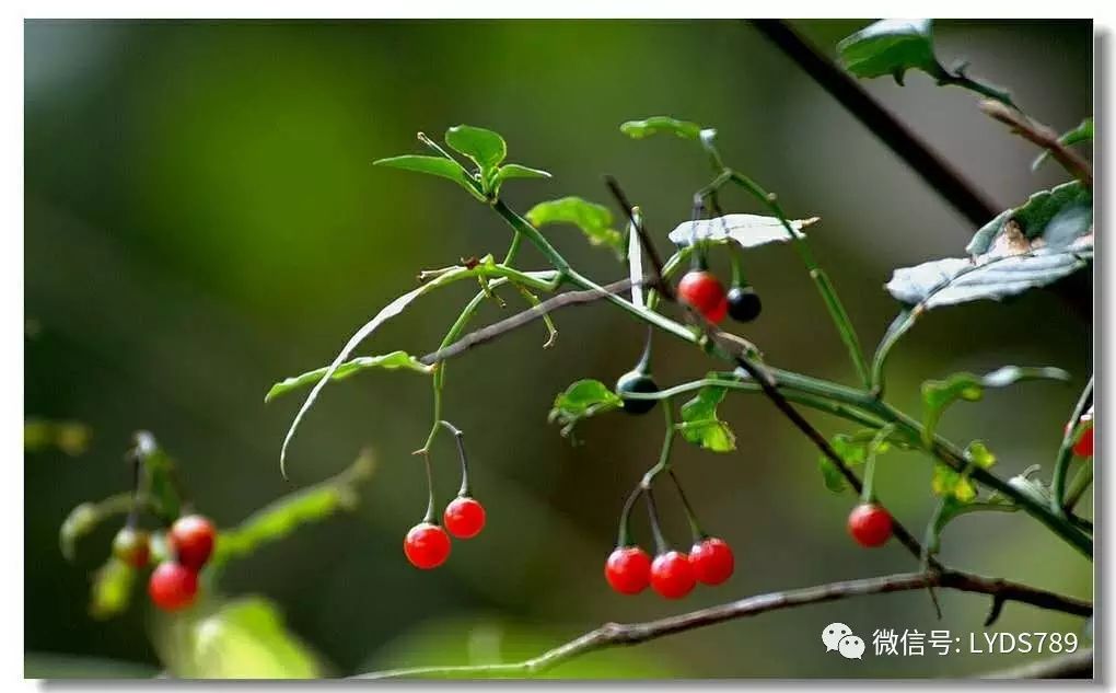 今天你“艺术”了吗?【胡静】