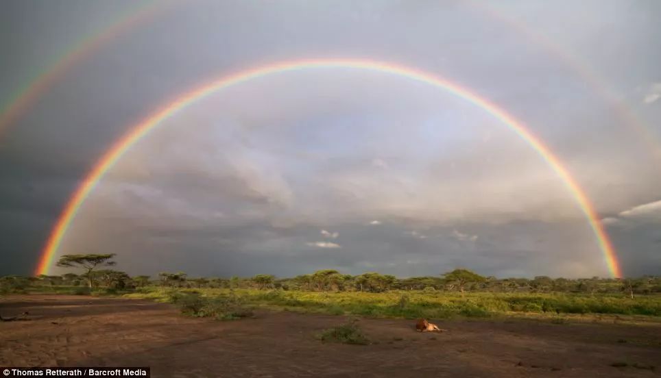 史上最美行程|有一种绚烂,叫雨季的坦桑尼亚