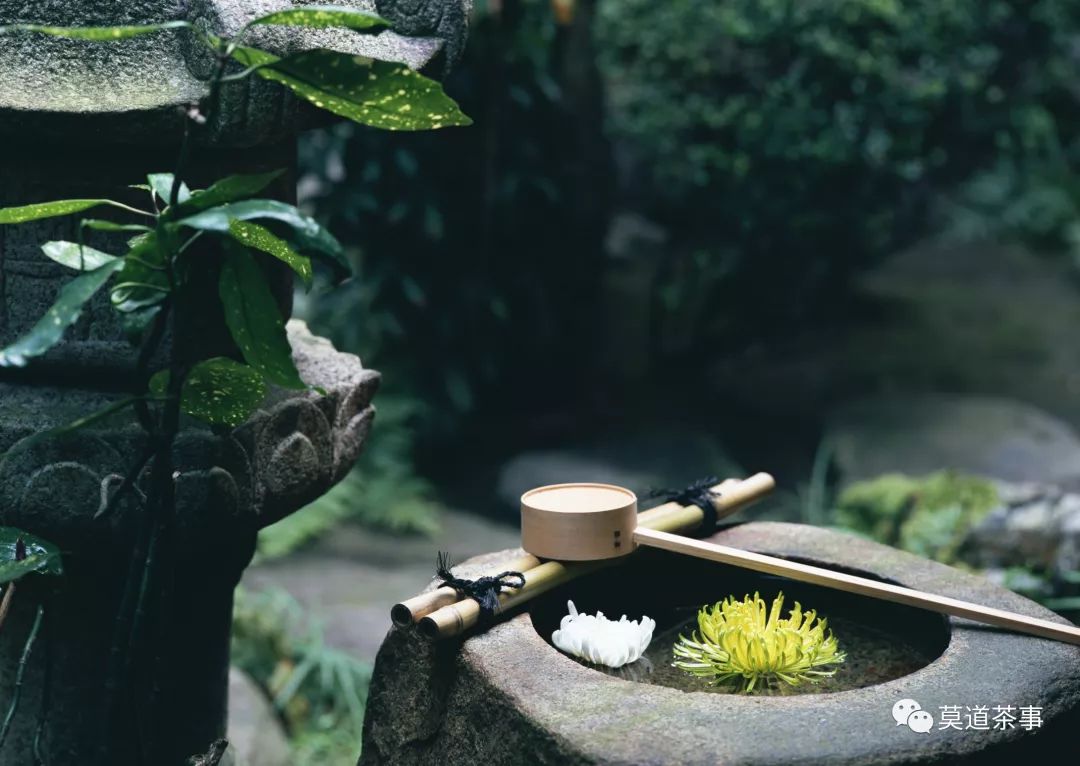时间煮雨,我煮茶