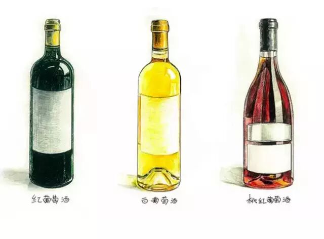红酒知识普及