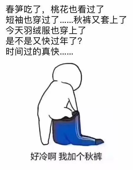 春笋吃了,短袖穿过了…今天又穿上了秋裤,换上了羽绒