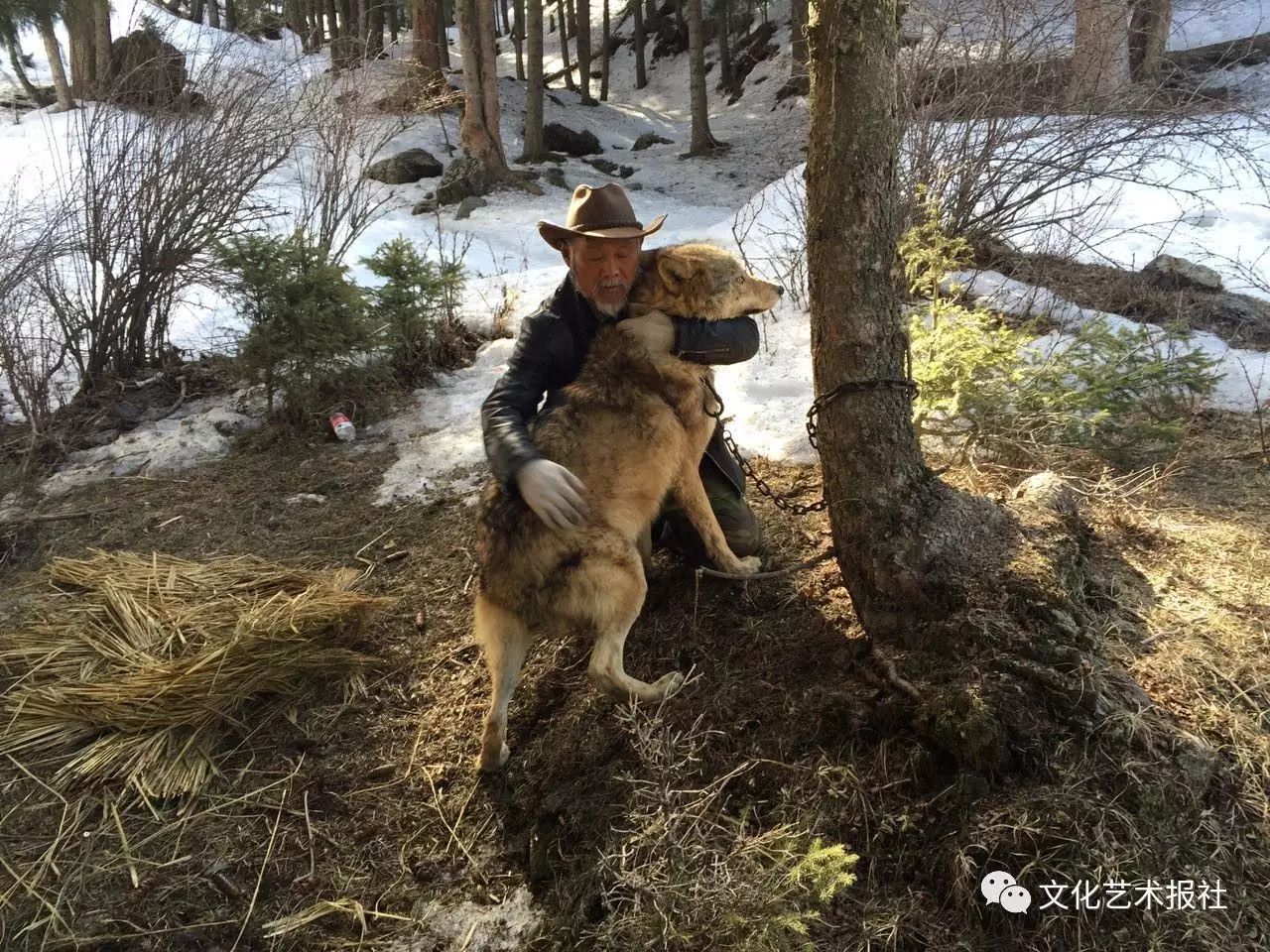 电影《血狼犬》:希望能唤醒更多人的环保意识