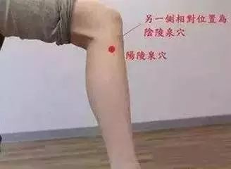 赶紧打开身上“8个总穴”,助你赶走百病! 赶紧打开身上“8个总穴”,助你赶走百病!