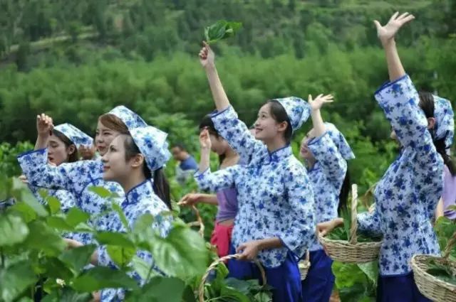 发生在桑林里的风流