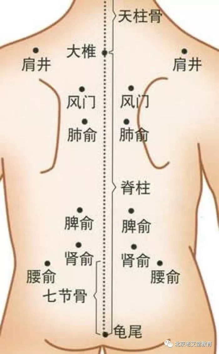 脾胃差的人, 看这篇就够了!