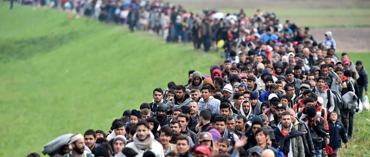 德国外来移民超2100万人，占总人口14！土耳其仍是最大移民来源国！