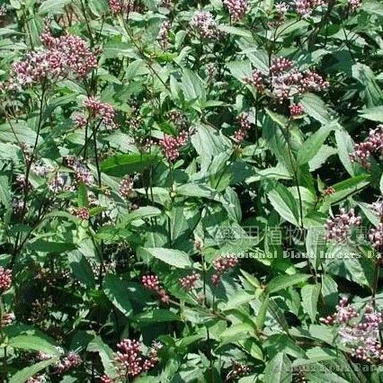 2022-06-05药事资讯