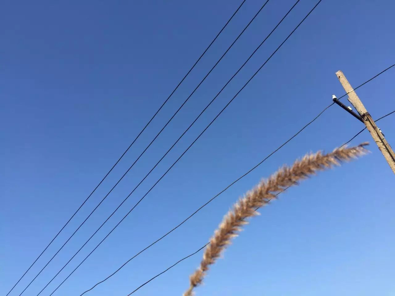 你能给的最好的爱就是陪伴